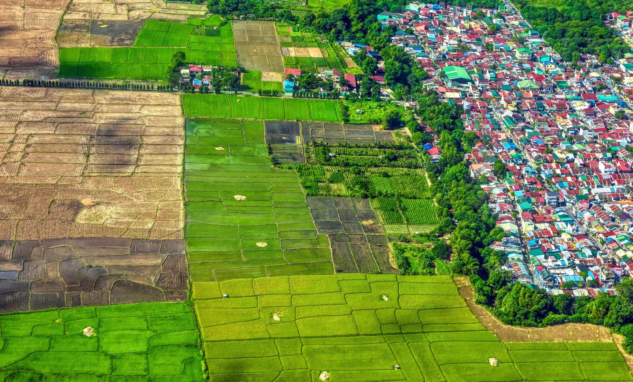 houses encroaching on fields