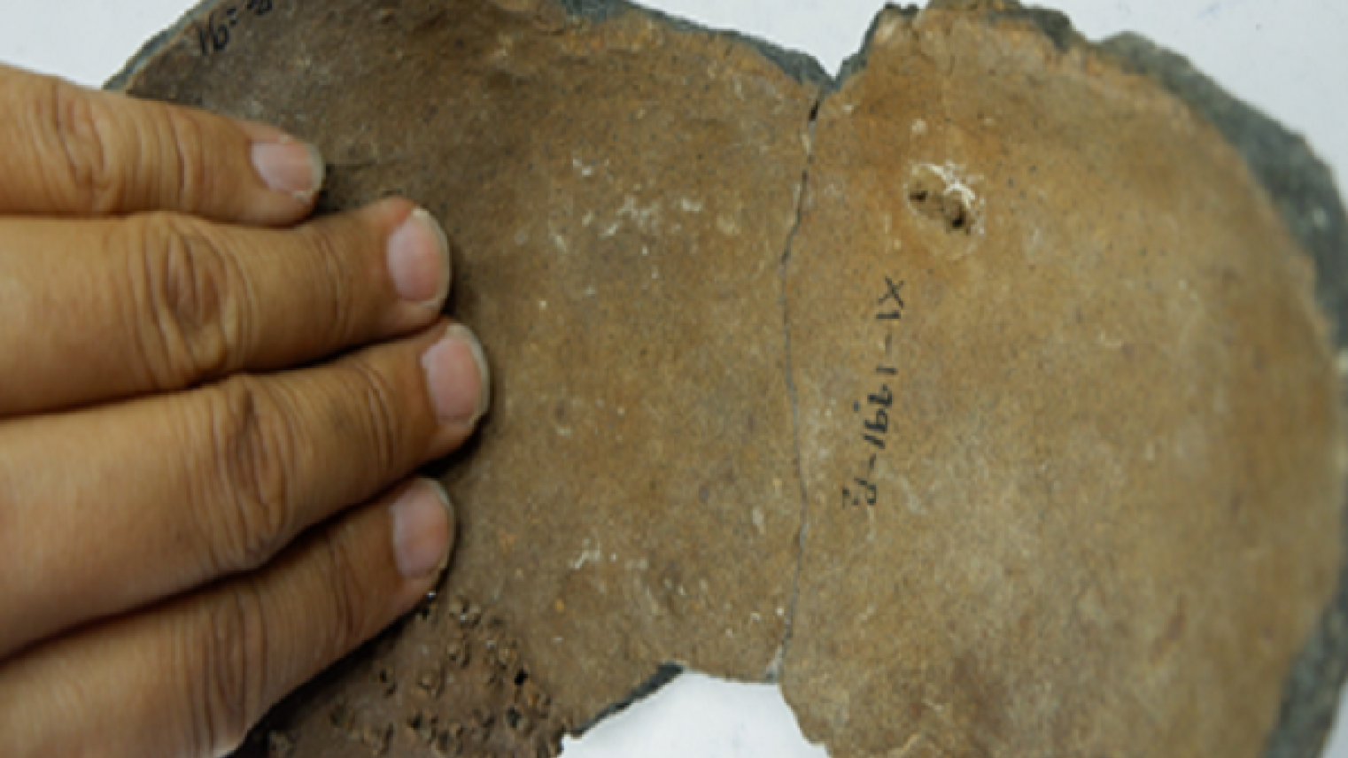 Palaeometallic Period Anthropomorphic Burial Jars and Pottery in Island Southeast Asia as Evidence of Shared Social Burial Traditions 